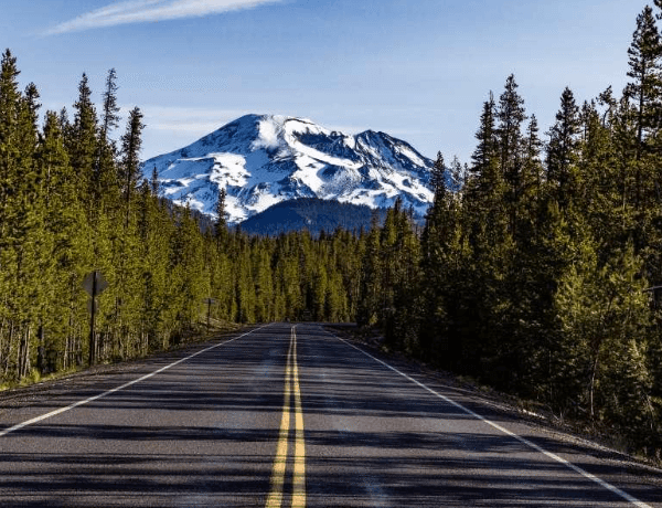 NAEGELI Deposition & Trial Provides&hellip;